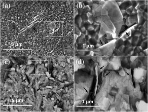 High–resolution SEM images of the fracture surfaces of the composites with (a and b) 1vol%, (c and d) 4vol% BNNS. The images in (b) and (d) show high magnification of the selected areas in (a) and (c), respectively.