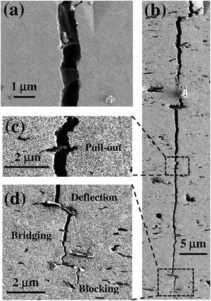 SEM images showing vertical indentation-induced cracks on the i.p. (a) and c.s. (b) surfaces of the composite with 4vol% BNNS. The images in (c) and (d) show high magnification of the selected areas in (b), revealing energy dissipation mechanisms: (c) BNNS pull-out, (d) crack deflection, bridging and blocking by BNNS.