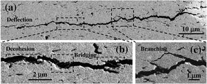(a) SEM image showing a horizontal indentation-induced crack on the c.s. surface of the composite with 4vol% BNNS. (b and c) High magnification SEM images of the selected areas in (a), revealing BNNS debonding, crack branching, deflection and bridging.