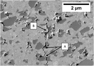 FE-SEM image of crack propagation of the 15SiC composite sintered at 1350°C by SPS.