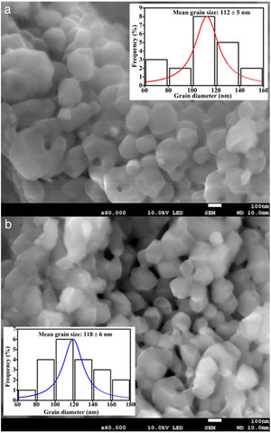 The FE-SEM images of ZnAl(2−x)Fex3+O4 (a) x=0 and (b) x=0.08. The inset of (a) and (b) depicts the average particle size distribution curves for the images thereof.