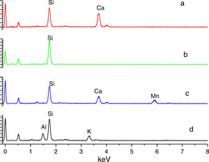 Análisis químico de inclusiones e interfases realizados por EDS.
