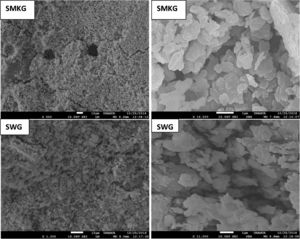 SEM micrographs of consolidated concrete.