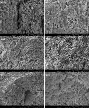 SEM micrographs of consolidated concrete.