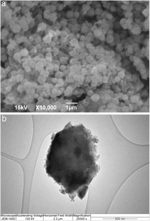 SEM and TEM micrographs of silica core-shell particles containing immobilized invertase.