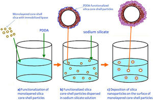 Preparation scheme of an outer silica layer around lipase-immobilized silica core-shell particles.