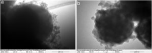 TEM micrographs of: (a) monolayered and (b) bilayered silica core-shell particles.