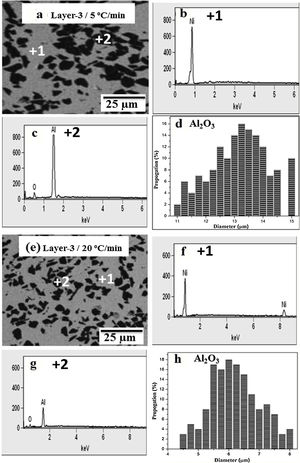 BSE micrographs and EDS analysis of PLS15 samples: consolidated at (a)–(d) 5°C/min; (e)–(h) 20°C/min.