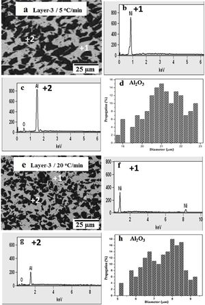 BSE micrographs and EDS analysis of PLS25 samples: consolidated at (a)–(d) 5°C/min; (e)–(h) 20°C/min.