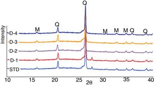 XRD diffractograms of STD, D-1, D-2, D-3 and D-4 bodies (A: Albite, Q: Quartz, M: Mullite).