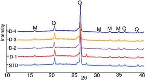 XRD diffractograms of STD, D-1, D-2, D-3 and D-4 bodies (A: Albite, Q: Quartz, M: Mullite).