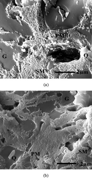 SEM micrograph of STD (a) and D-4 (b) porcelain bodies showing albite (A), quartz (Q), glass (G), and primary (PM) and secondary (SM) type of mullite crystals.