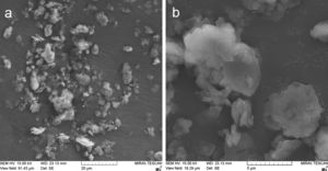 (a) Micrograph of the kaolinite spray powder. (b) Micrograph of the kaolinite spray powder – detail.