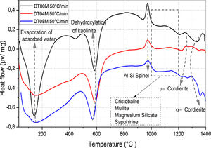 DTA curves of DT00M, DT04M, and DT08M powders at heating rate of 50°C/min.