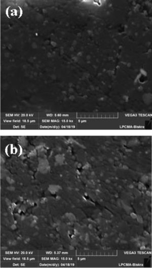 SEM micrographs of samples sintered at 1300°C for 2h (a) DM04 and (b) DM08.