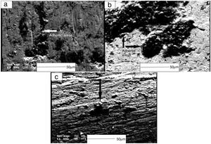 SEM secondary electron images of the worn surfaces for WC/FeAl-B at 400°C (a) 0, (b) 500 and (c) 1000ppm B.