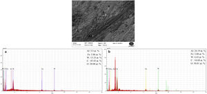 EDS analysis of the worn surface of the specimen without B of (a) non-oxide and (b) oxide area at 600°C.