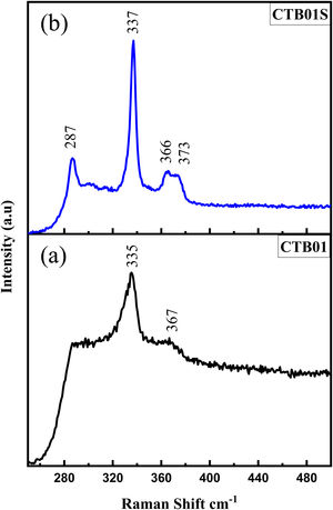 Raman spectra of the CZTS thin films. (a) As deposited sample CTB01, (b) heat treated sample CTB01S.