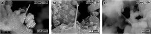 FEM micrographs of mullite needles in different samples 11.