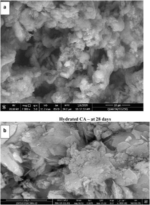 SEM images for calcined CA and C3A at (1000 & 1200°C) as in (a and b) respectively after hydration for 28 days.