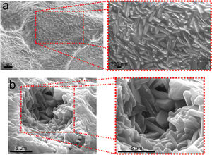 FESEM images of the formulation 3 (50wt.% clay and 50wt.% waste) showing needle-like mullite embedded in an amorphous silica-rich phase (a) and the formulation 1 showing mullite and alumina grains (b).