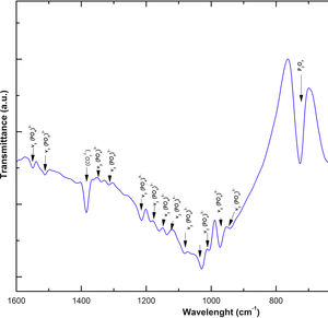 FTIR spectrum showing absorption bands of the VZ1.0 scaffold after 28 days of immersion in SBF.