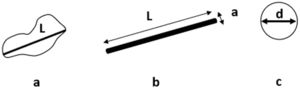 Details of the microstructural measurement analysis parameters (a) for quartz particles (L: Length), (b) for mullite particles (L: Length, a: width), (c) for pores (d: diameter).