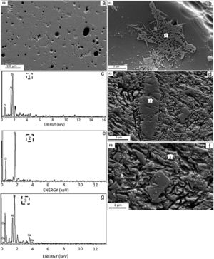(a) SEM image of the sintered the F3 sample, (b) SEM image of etched the F3 sample, (c) EDX analysis of the region highlighted in (1) region, (d) Different region SEM image of the etched the F3 sample, (e) EDX analysis of the region highlighted in (2) region, (f) Another different SEM image of the etched the F3 sample, (g) EDX analysis of the region highlighted in (3) region.