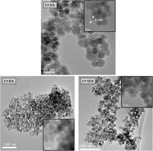 TEM images of Fe3O4–chitosan nanocomposites prepared with 1mL of GA.