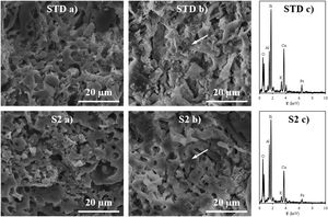 Scanning electron microscope micrographs and EDX analyses of specimens fired at 1120°C of the compositions STD and S2 (intermediate composition of those studied): (a) samples without acid attack, (b) samples with acid attack and (c) EDX analyses.