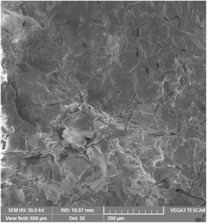 WSP coating, surface, SEM-SE.