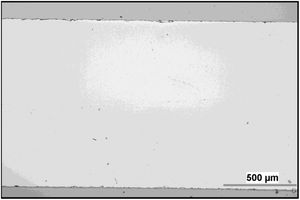 Single crystal, cross section, light microscopy.