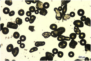 Free-flight particles, light microscopy.