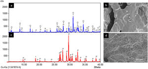 Diffractograms and SEM images of Core A (a and b) and Core B (c and d) (P: Ca2P2O7, I: Li(PO3), S: SiO2, T: β-Ca3(PO4)2, L: LiCa(PO4), O: Ca9.95Li1.05(PO4)7, C: Ca5(PO4)3Cl).