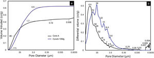 Mercury porosimetry curves: (a) cumulative and (b) differential volume intruded vs. pore diameter of the Core A and CoreA-10Mg scaffolds.