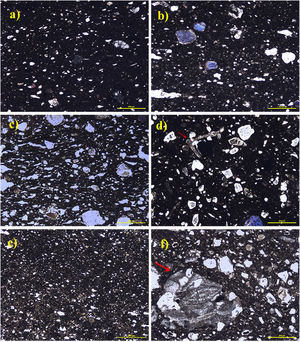 Fotografías de láminas delgadas realizadas al microscopio de luz polarizada, nícoles cruzados: a) Muestra E-06, perteneciente al grupo petrográfico 1A, en la que se aprecia la distribución unimodal y regular de los clastos. b) Muestra E-03, perteneciente al grupo petrográfico 1B, con una composición similar a la anterior pero con una distribución mucho más irregular. c) Muestra E-01, considerada outsider. Puede observarse la orientación ondulada de las frecuentes vacuolas. d) Muestra F-01, perteneciente al grupo petrográfico 2, compuesto principalmente por granos de cuarzo, y se observan también microfósiles de gran tamaño (indicado con flecha). e) Muestra F-07, perteneciente al grupo petrográfico 3A, cuyas inclusiones presentan un tamaño mucho menor. f) Muestra F-04, perteneciente al grupo petrográfico 3B. Se observa con claridad un fragmento de roca bioclástica (indicado con flecha), que caracteriza al subgrupo.