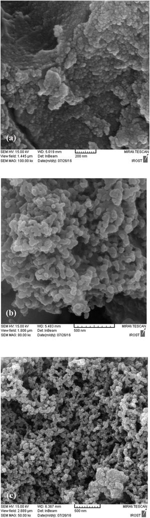 SEM images of (a) G700, (b) GB950, and (c) B800.