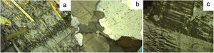 Granite C: a – mica with high birefringence in plagioclases; b – quartz, biotite (brown) and plagioclase (cloudy crystal in lower left corner); c – perthitic exsolution texture in feldspars.