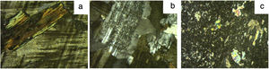 Granite L: a – biotite crystal surrounded by potassium feldspar; b – plagioclases with characteristic polysynthetic twinning and sericitic alterations in the nucleus, together with quartz and potassium feldspar; c – sericitic alterations in plagioclase, the largest consisting in mica group phyllosilicates.