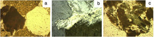 Granite V: a – biotite (left) and quartz (right) surrounded by potassium feldspar and plagioclases; b – interfacing quartz (left), plagioclase (above) and potassium feldspar (below); c – biotite (brown) altered to chlorite (green).