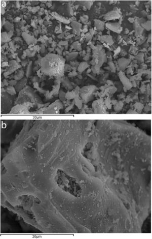Scanning electron microscope images of milled CSW waste.
