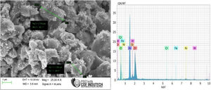 SEM and EDS of 50:50 YSZ-Al2O3 deposited steel substrate.