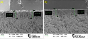 Cross section of the YSZ-Al2O3 (a) 75:25, (b) 50:50.