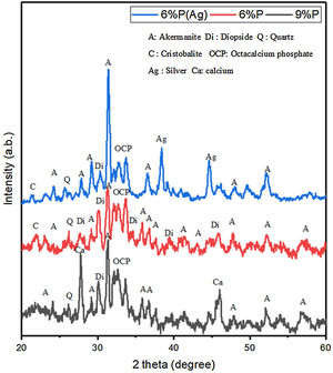 XRD spectrum of the 6%P, 6%P(Ag), and 9%P sample heat treated at 1000°C.
