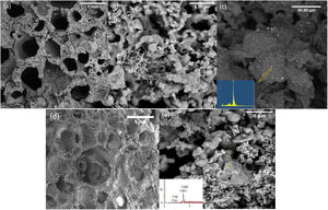 FESEM images of (a,b) 6%P, (c) 6%P(Ag), and (d,e) 9%P samples accompanying with their respective EDS analysis.