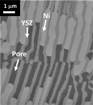SEM image of a YSZ-NiO eutectic ceramic grown at 100mm/h, after reduction at 600°C for 10h under 5%H2. The bright phase is Ni, the grey one corresponds to YSZ, and the darkest one is porosity.