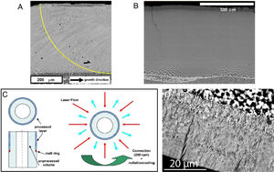 (a) SEM image of a cross section in the longitudinal direction of a CaSZ-NiO laser surface melted piece. The superposed line indicates the approximate shape of the solid–liquid interface (solidification front), which determines the alignment of the microstructure [127]; (b) SEM image of a cross section in the transverse direction of a hypo-eutectic YSZ-NiO composite processed with traverse speed of 60mm/h [128]; (c) diagram showing the surface laser melting procedure used to generate the layer shown in d [130]; (d) (transverse cross section) of a laser-processed tube, after thermochemical reduction and acid etching to remove metallic Ni.