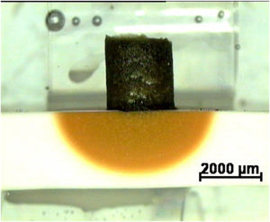 Characteristic image of a cross section of a reaction couple used to study corrosion showing the experimental arrangement: clinker (dark) and matrix specimen (clear). The yellowish semicircular area reflects the penetration of Fe from the clinker. The couple is embedded in a resin before polishing (light green). Reflected light optical microscopy.