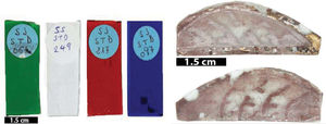 Photographs of the green, colourless, red and blue glass samples used in this study (left). Front and verso sides of the historic glass piece from the Cuenca Cathedral (right).