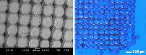 SEM micrograph (left) and photograph (right) of the ink-coated blue contemporary glass sample after laser irradiation with 500 pulses in each position.